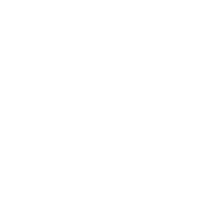 Customice