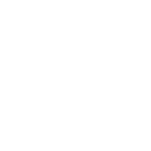 Johnson Gaming